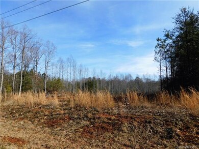 Lot 8 Furnace Rd, Lincolnton, NC 28092 - photo 6