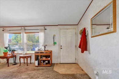 Carpeted entryway with crown molding