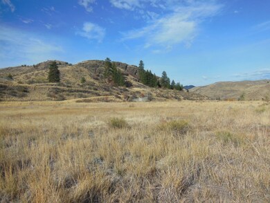 0 May St unit 706766, Twisp, WA 98856 - photo 4