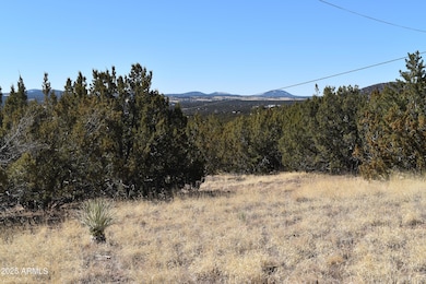 10.13 Acres (approx 441,262 sf)