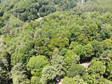 DJI_0942
