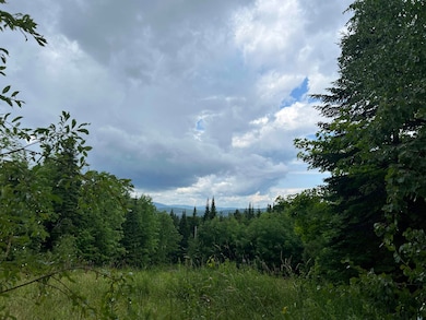 98 Sugar Hill Rd, Stewartstown, NH 03576 - photo 5