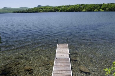 43 Robert Frost Ln unit 4, Westmore, VT 05860 - photo 7