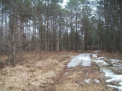 N4268 County Road B, Glen Flora, WI 54526 - photo 4