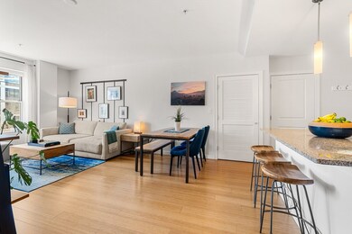 Audubon Park unit 505, Boston, MA 02215 - photo 4