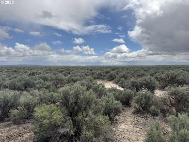 0 Kna Lost Forest Ln unit 4700, Christmasvalley, OR 97641 - photo 2