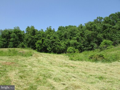 0 Ben Venue Rd unit 1000113599, Flint Hill, VA 22627 - photo 7