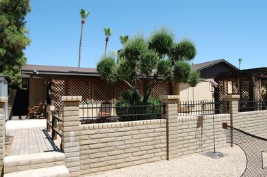 Backyard3
