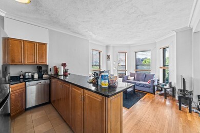 764 Tremont St unit 4, Boston, MA 02118 - photo 3