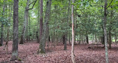 4844 Fox Lair Rd, Gum Spring, VA 23065 - photo 4