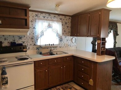 Kitchen view 2