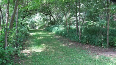 IMG_6370