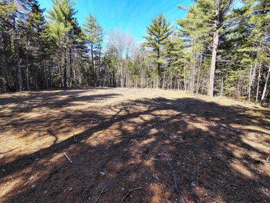 IMG_20250505_152210229_HDR