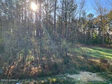 Lot 2 Commerce, Jacksonville, NC 28546 - photo 3