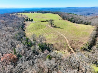 18400 Liberty Dr, Natural Dam, AR 72948 - photo 4