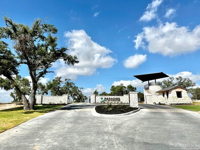 1713 Paradise Pkwy, Canyon Lake, TX 78133 - photo 6