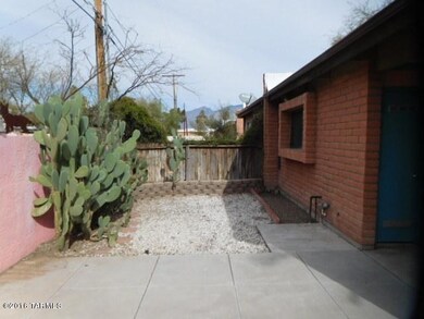 Backyard (2)