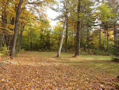 95 Edgar Albert Rd, Rumney, NH 03266 - photo 5