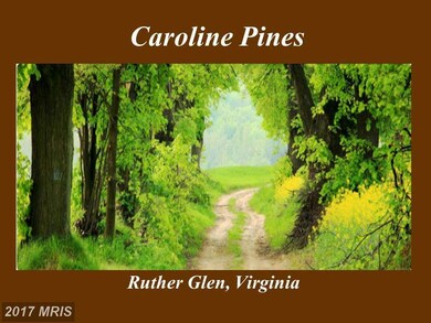 26350 Shannon Mill Dr, Ruther Glen, VA 22546 - photo 2