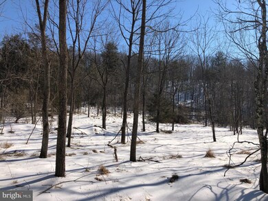 0 Riding Chapel Rd unit VAWR2002012, Stephens City, VA 22655 - photo 3