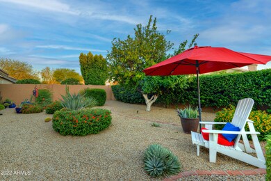 Backyard with fruit tree