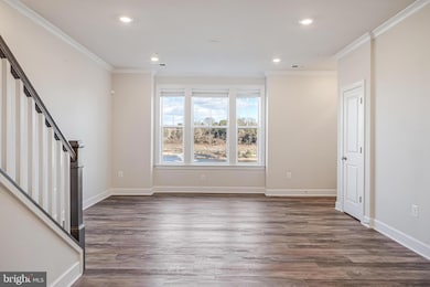 22504 Wilson View Terrace, Ashburn, VA 20148 - photo 4