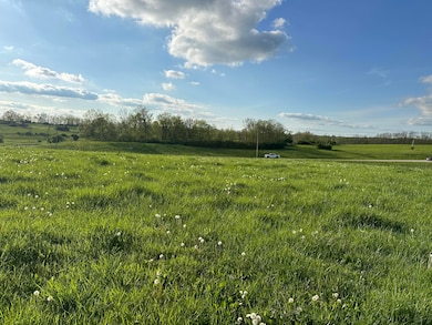 3489 Cynthiana Rd, Georgetown, KY 40324 - photo 5