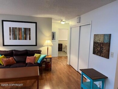 7420 Branche Dr unit C, Anchorage, AK 99518 - photo 5