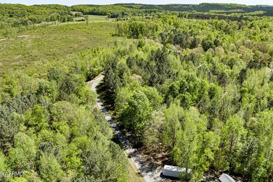05_MoonSloughPoint_LakefrontParcel_RoadE