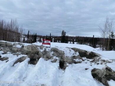 3951 S Solitude Cir, Wasilla, AK 99654 - photo 6