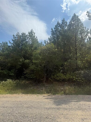 180 No Knot Ct, Hochatown, OK 74728 - photo 4