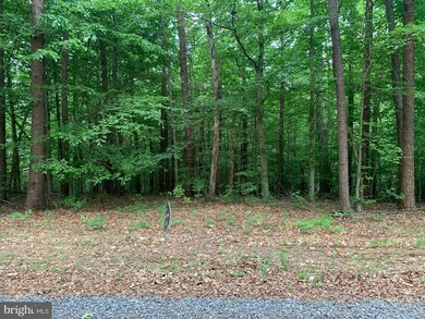 Lot 3 Red Feather Way, Orange, VA 22960 - photo 3