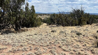 0 Warpath Rd unit 23912666, Quemado, NM 87829 - photo 7