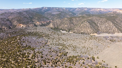 DJI_0366
