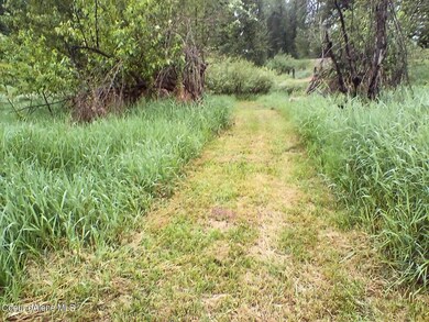 IMG_20230609_061022