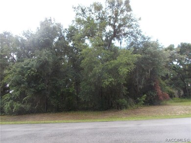 3378 N Chandler Dr, Hernando, FL 34442 - photo 2