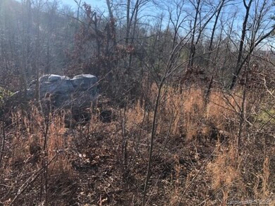 33 Dobsons Knob Loop Rd unit 33, North Cove, NC 28752 - photo 2