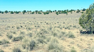 0 W Prescott Ranch Rd unit 1019858, Paulden, AZ 86334 - photo 6