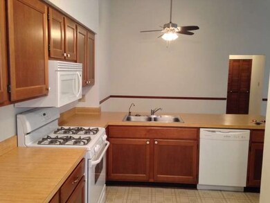 536 Fessler Ave, Naperville, IL 60565 - photo 7