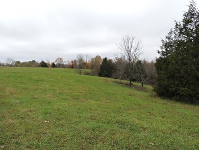 Lot 1-2-3 Drake Ridge Rd, Bloomfield, KY 40008 - photo 7