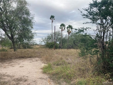 905 E Davis Rd, Edinburg, TX 78542 - photo 3