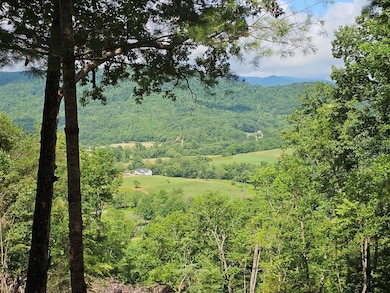 17 Buckhead Hills, Hiawassee, GA 30546 - photo 2