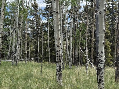 View of undeveloped land