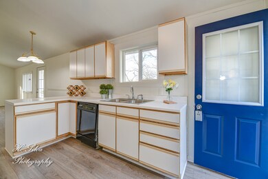 429 Blackhawk Ave, Carpentersville, IL 60110 - photo 7