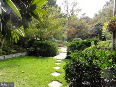 3820 52nd St NW unit 410, Washington, DC 20016 - photo 4