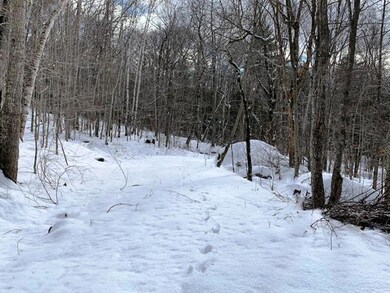 Lot 10 Tamarack Trail, Camden, ME 04843 - photo 6