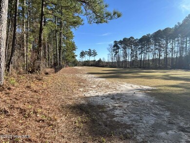 16080 Cardinal Ct, Wagram, NC 28396 - photo 6