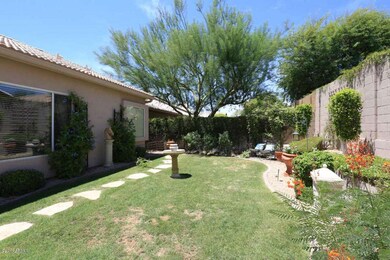 Backyard2