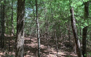 LT 10 Dover Highlands Trail, Ellijay, GA 30540 - photo 5