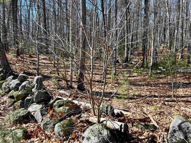 Lot 5 Middle Rd unit 29-002-005, Center Tuftonboro, NH 03816 - photo 4